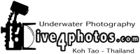 Dive4Photos logo